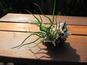 !cid_BC673229-1BA1-431B-B3B0-F4D30CD7A4D6@gateway_2wire