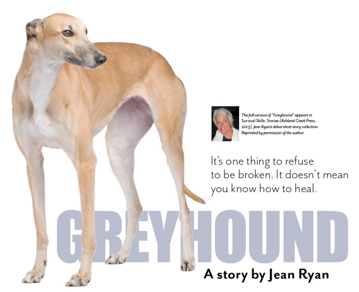 copy41_Greyhound hed