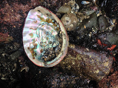 16137528979_fbfb1fde7d_m