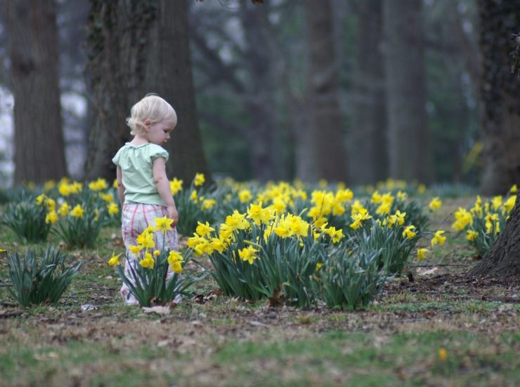 114618227_a4794b5b09_o