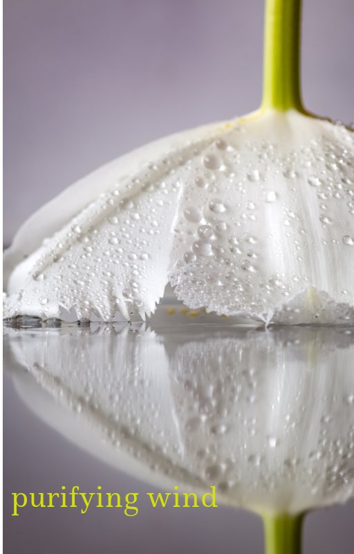 PW Wind cover Mock up